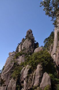 奇峰耸立伴绿植