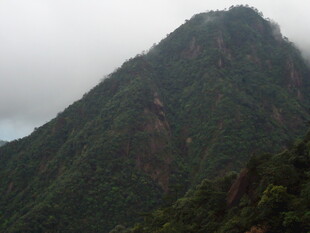 云雾缭绕的翠绿山峰