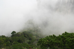 云雾缭绕的山林美景