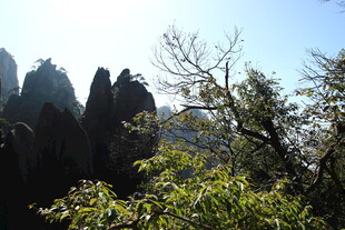 奇峰绿树间的壮美山景