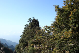 奇峰耸立的山林美景