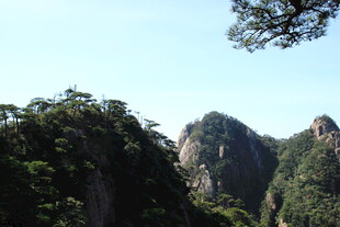 秀丽山峦 绿意盎然的景致