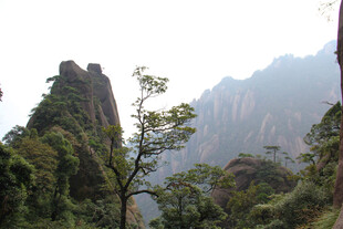 秀丽山峦间的葱郁景致
