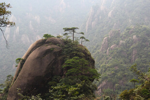 奇峰耸立间的绿意景致