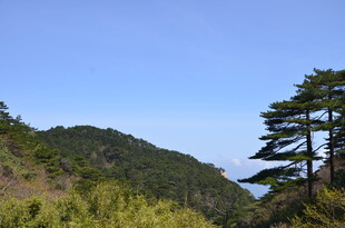 青山绿树间的秀丽风光