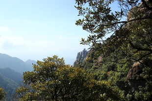 山间绿意盎然的秀丽景致