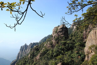 峻峭山峰与葱郁林木