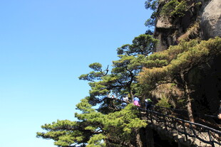 悬崖栈道上的游客风景