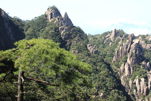 峻峭山峦间的葱郁绿意