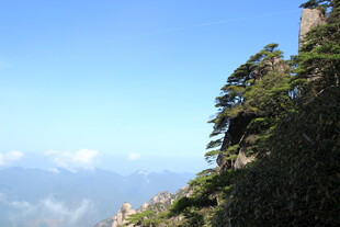 高山峻岭间的葱郁树木
