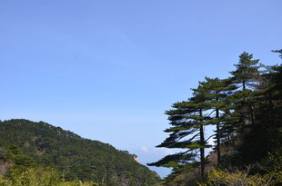 青山绿树间的蓝天美景