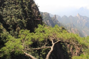 峻岭青松间的壮美山景
