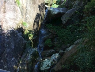 山间溪流潺潺的自然景致