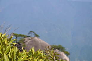 山间绿植与巨石景观