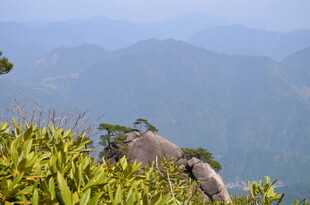 山间绿植与远处山峦景色