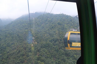 缆车穿梭于青山云雾间
