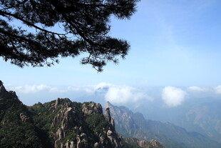 巍峨山峰与云端松树美景