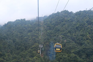 山间缆车穿行于葱郁山林