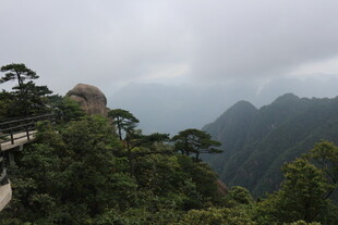 山间栈道旁的秀丽山林景色