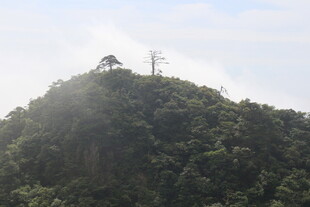 山峦之巅的电力设施