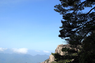 山巅青松伴蓝天云海