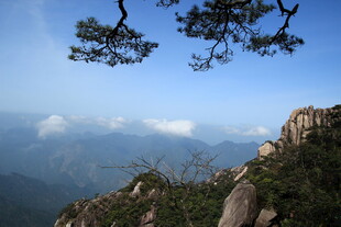 黄山美景 松与山峦云海