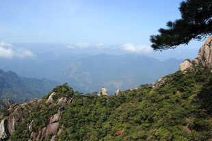 山巅美景 绿意盎然映蓝天