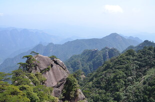 峻岭奇峰间的葱郁山林