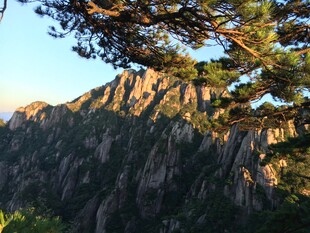 壮丽山峰与松景