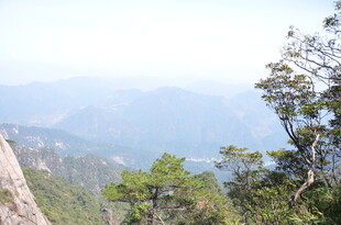 山巅松景 远眺层峦叠嶂