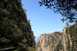 壮丽山景 奇峰绿树相映