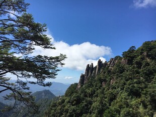 峻岭青松伴蓝天美景