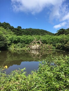 宁静河畔的自然景致