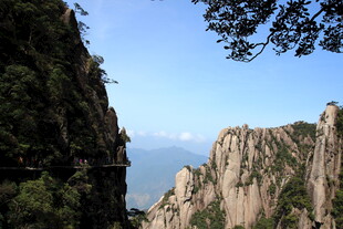 壮丽黄山奇峰景观