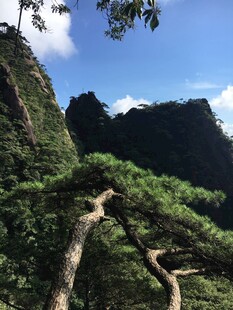 山间绿意盎然的自然景致