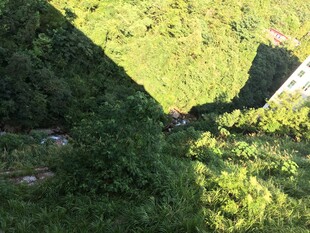 山间绿意盎然的峡谷景色