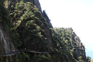 山间悬空栈道 绿意环绕