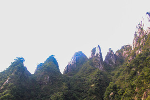 秀丽山峰 绿意盎然的景致