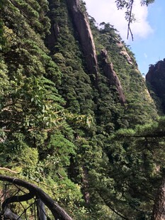 峻峭山峦间的葱郁植被