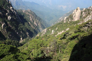 壮丽山峦间的葱郁美景