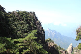 峻峭山峰绿意浓