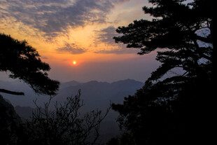 日出时分山间松影美景