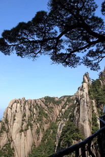 黄山奇峰与苍松景观