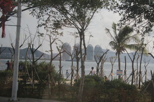 海滨城市风光
