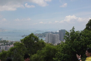城市山林间的海景风光