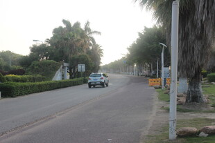 乡村公路上行驶的车辆