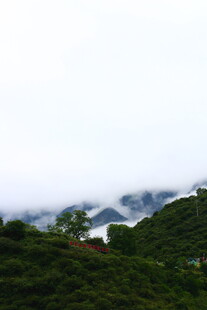 山间云雾缭绕的翠绿景致