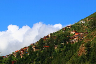 山坡上的多彩村落景观
