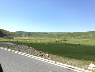 公路旁的开阔绿色原野