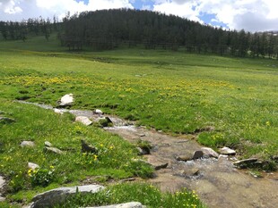 山间草地小溪自然美景